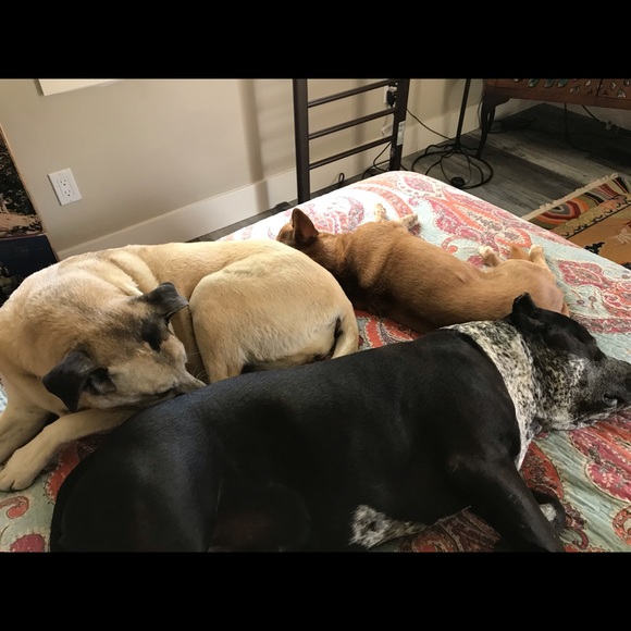 Meet your Posher, Allison - Picture 3 of 8